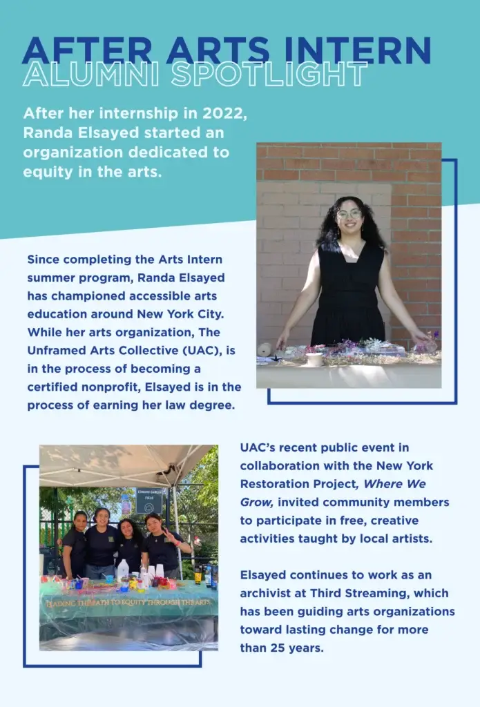 About Randa Elsayed's Organzation